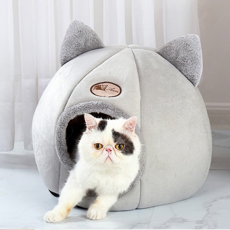 Panier pour animal domestique.