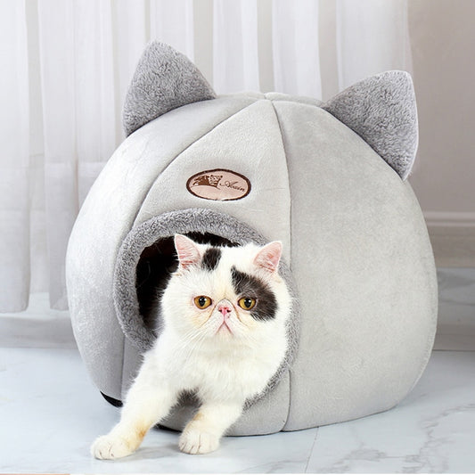 Panier pour animal domestique.