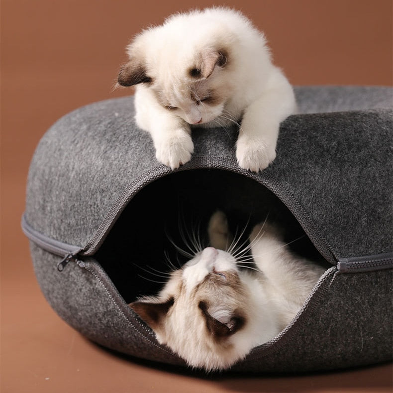 Jouet d'intérieur interactif Tunnel pour chat.