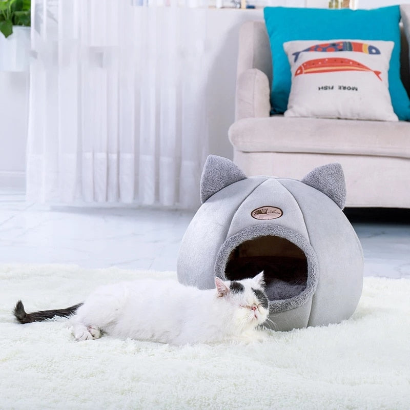 Panier pour animal domestique.