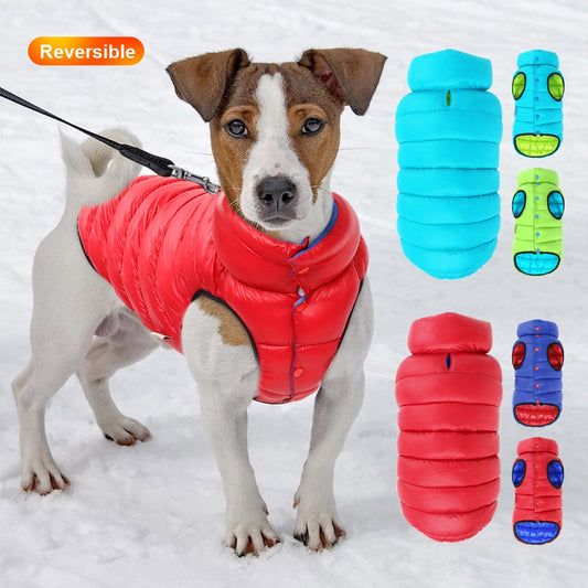 Manteau d'hiver réversible coupe-vent pour chien.