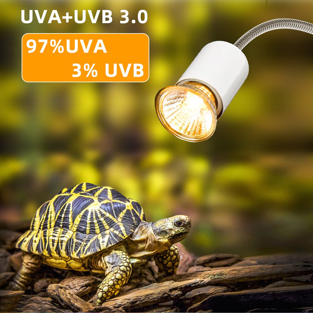 Lampe UVA + UVB 3.0