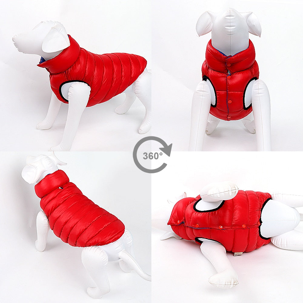 Manteau d'hiver réversible coupe-vent pour chien.