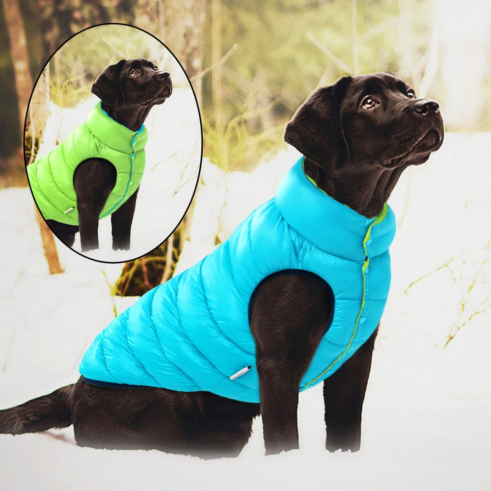 Manteau d'hiver réversible coupe-vent pour chien.