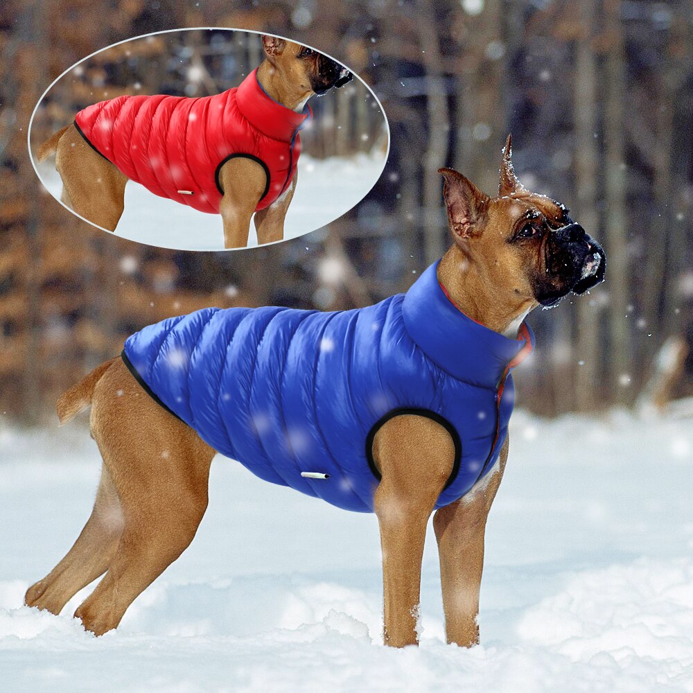 Manteau d'hiver réversible coupe-vent pour chien.